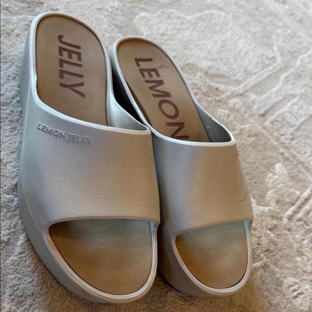 Lemon Jelly Women's Sunny Platform
Sandals - Cute 10-10.5 Warm Gray